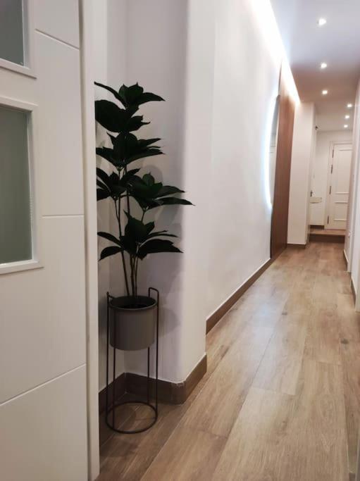 רונדה Apartamento Sierra-Sol מראה חיצוני תמונה